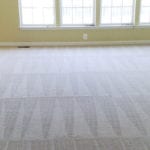 suffolk county residential carpet cleaning